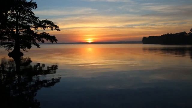 Mantra | Om Namo Bhagavate Vasudevaya | Invocação do Poder Divino смотреть онлайн