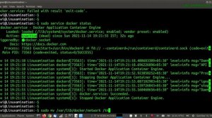 Docker Error - Service not Starting - Error initializing network controller