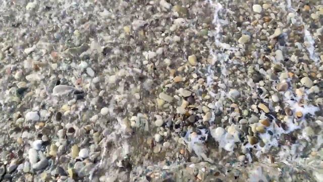 Дивноморское.Море каждый день.Купаются.5 января 2023 г. смотреть онлайн