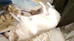 Беспредельщик- экстремал.