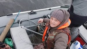 Ладожский окунь в сентябре