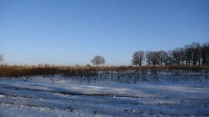 Огромные динамики JBL 18 в полке Калины ?