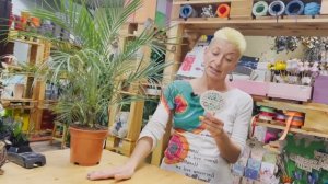 Финик Робелини - карликовая домашняя пальма | Уход за пальмой в домашних условиях
