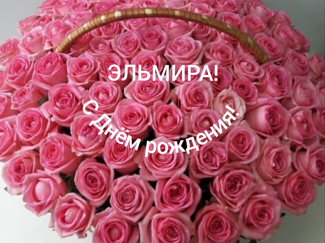 С Днём рождения, Эльмира! смотреть онлайн