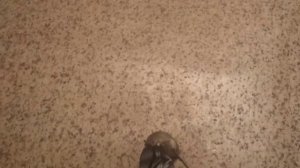 Чистон 2 ПРО. Отзыв. Ультразвуковой отпугиватель мышей.