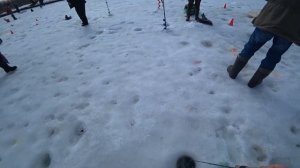 Соревнования по ловле форели со льда!!! Закрытие сезона твёрдой воды!