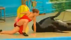 Танго с Котиком )