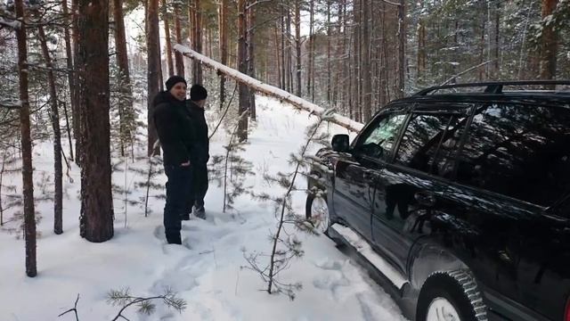 Sibir Trofers Omsk зима смотреть онлайн