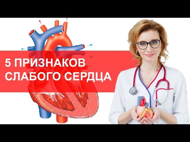 5 признаков слабого сердца. Признаки сердечной недостаточности