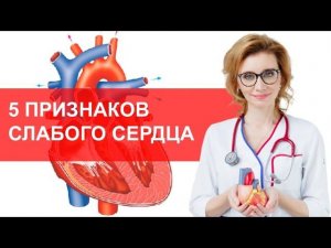 5 признаков слабого сердца. Признаки сердечной недостаточности