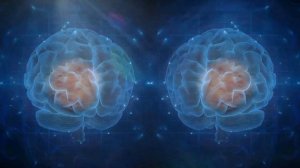 У кого Самый Большой МОЗГ на Планете?