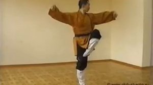Комплекс цигун «5 зверей» (“Wuxing”)