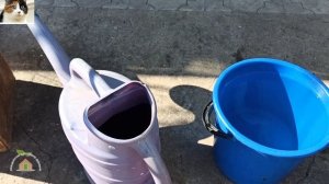 Как правильно раскислить почву на огороде пищевой содой осенью