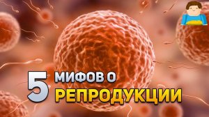 5 мифов о репродукции человека | Plushkin