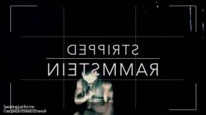 Rammstein - Stripped (перевод на русский)