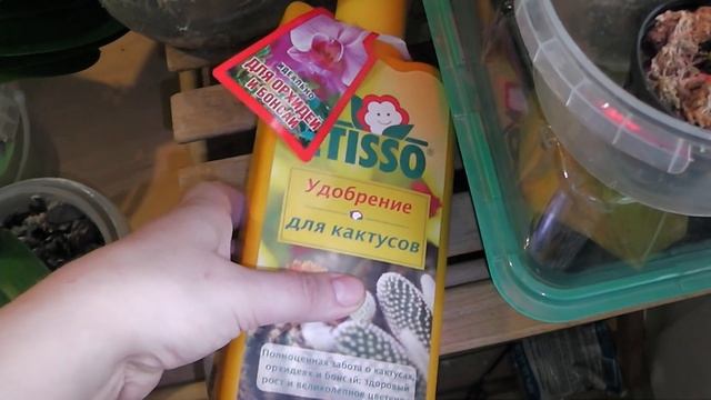 Etisso удобрение в котором идеальное сочетание микроэлементов для цветения Орхидей???????? смотреть онлайн