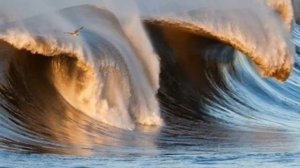 Художник...исп.Вячеслав Анисимов, сл.Ф.Тотти, муз.А.Страцевский