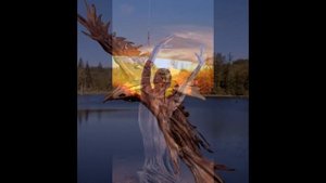 Оригинальные и очень реалистичные скульптуры из дерева