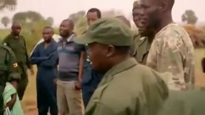 Дикие животные Африки Животные мира пустыни и саванны Жираф Охота Сафари Самые высокие