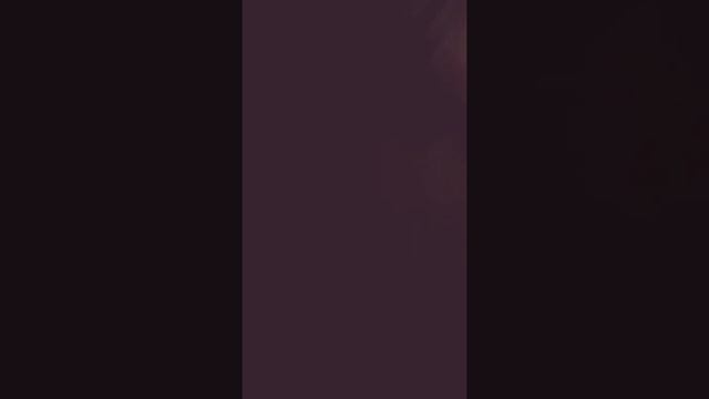 Ловим кошку. смотреть онлайн