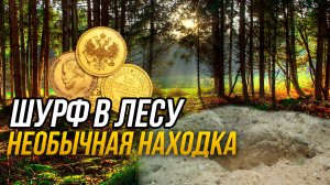 Шурф в лесу! Необычная находка!