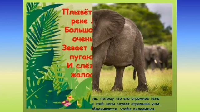 "Зов джунглей" смотреть онлайн