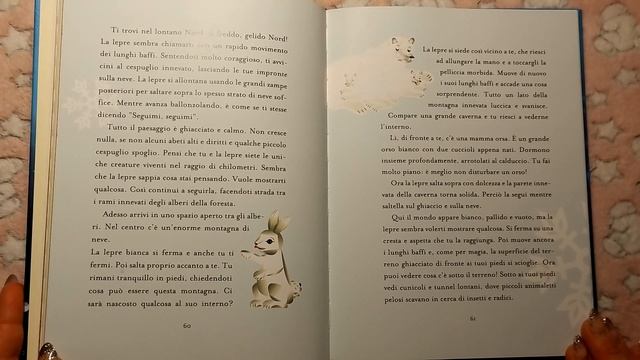 La Lepre Della Neve - Fiabe - Buonanotte- Meditazione Infantile - Infondere Emozioni смотреть онлайн