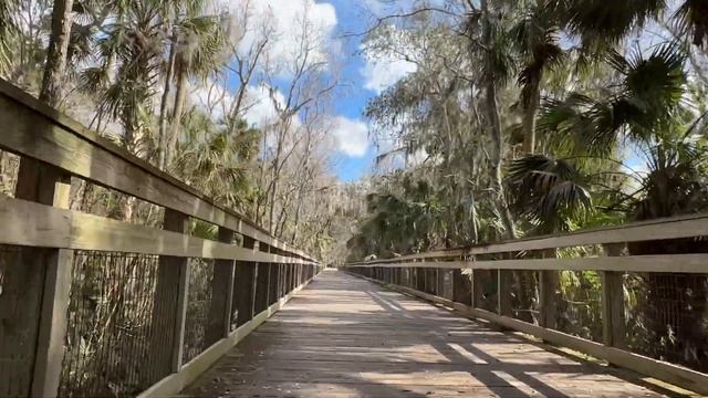 Коленки трясутся, что делать!? #натальяфальконе #флорида #русскиевсша смотреть онлайн