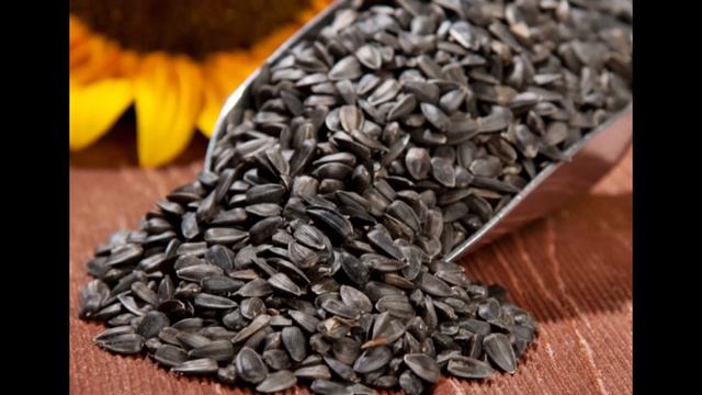 Когда организм просит помощи...... смотреть онлайн