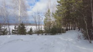 В зимнем лесу благодать