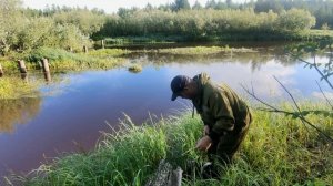 видео без редактора от а до я про то как ловят рыбу