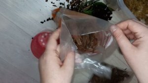 Как правильно пересадить ОРХИДЕЮ МИНИ, чтобы быстрее прижилась и была здоровой