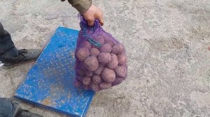 Шостка❗ Прогулялась по РЫНКУ ❗БЕССОННАЯ НОЧЬ?#лайфстайлблог  #алламельникшостка #шосткарынок