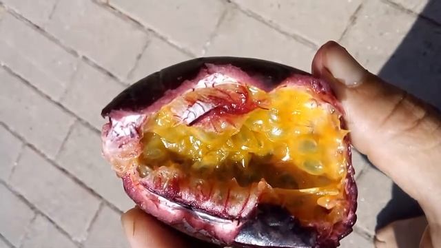 Пробуем маракуйю | Сыроедение смотреть онлайн