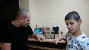 Петушок. Подселили самку.