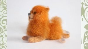 Валяние мини шпиц