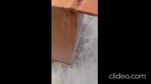 Мусорный бак для дома своими руками!