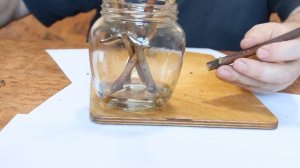 Размножение винограда черенками.