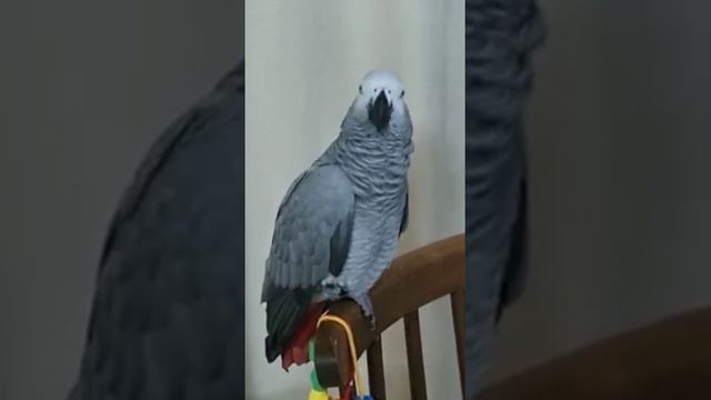 Посмотрите!..И море позитива Вам на сердце ...