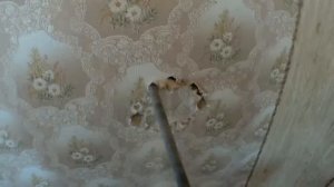 Как сделать отверстие любого диаметра в стене