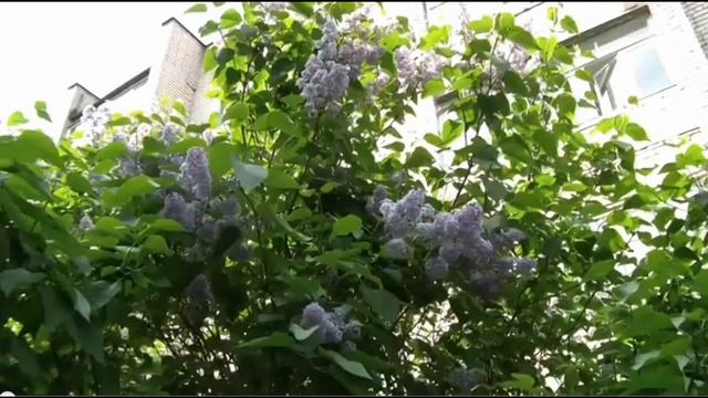 "Билетик". Олег Корчагин смотреть онлайн