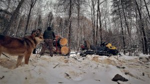 НАЛЕДЬ НЕ СТРАШНА. Готовим ХИНКАЛИ и ЧЕБУРЕКИ с ИЗЮБРЯ. Заготовка дров.