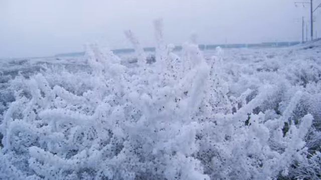 Зимняя сказка.avi смотреть онлайн