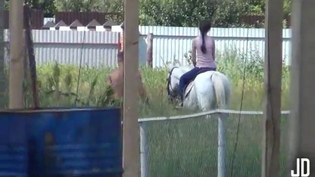 Едем в Курск . смотреть онлайн