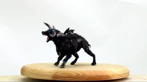 Кружащаяся Арракташ