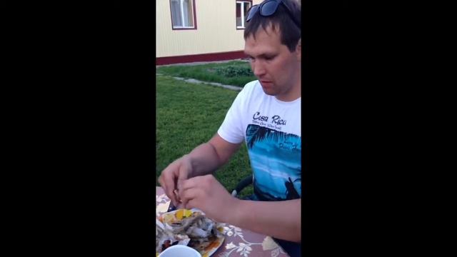 Правила чистки вяленой рыбы смотреть онлайн