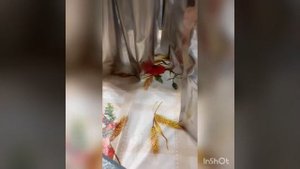гороховая каша с копченостями в реторт пакетах) песня!!!!