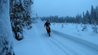 Хард эндуро, мотокросс, отжигаем на KTM по зимнему лесу смотреть онлайн