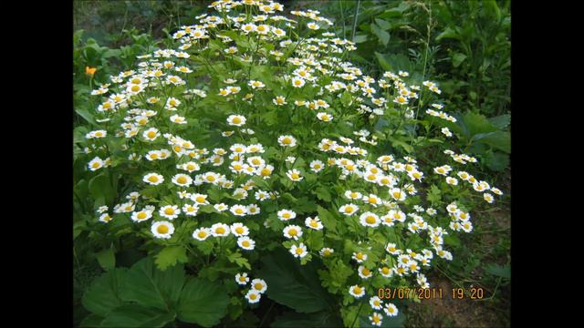 Проснитесь люди! смотреть онлайн