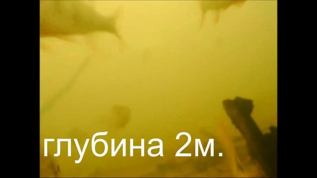 Камера для подводной съемки. Тест под водой. Цена 800 р.